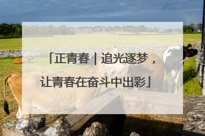 正青春｜追光逐梦，让青春在奋斗中出彩