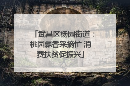 武昌区杨园街道：桃园飘香采摘忙 消费扶贫促振兴