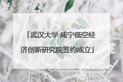 武汉大学·咸宁低空经济创新研究院签约成立