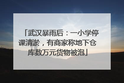 武汉暴雨后：一小学停课清淤，有商家称地下仓库数万元货物被泡
