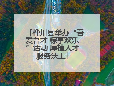 桦川县举办“吾爱吾才 粽享欢乐”活动 厚植人才服务沃土