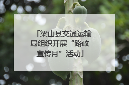 梁山县交通运输局组织开展“路政宣传月”活动