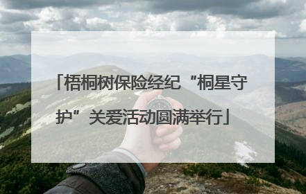 梧桐树保险经纪“桐星守护”关爱活动圆满举行