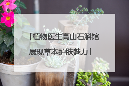 植物医生高山石斛馆展现草本护肤魅力