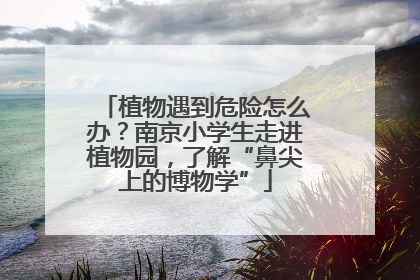 植物遇到危险怎么办？南京小学生走进植物园，了解“鼻尖上的博物学”