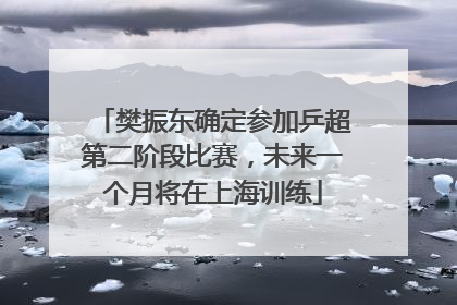 樊振东确定参加乒超第二阶段比赛，未来一个月将在上海训练