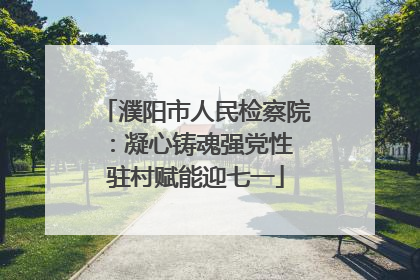 濮阳市人民检察院：凝心铸魂强党性 驻村赋能迎七一