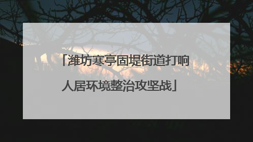 潍坊寒亭固堤街道打响人居环境整治攻坚战