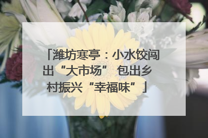 潍坊寒亭：小水饺闯出“大市场” 包出乡村振兴“幸福味”