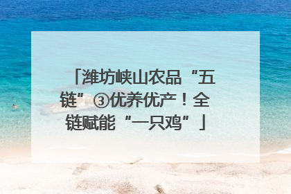 潍坊峡山农品“五链”③优养优产！全链赋能“一只鸡”