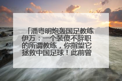 潘粤明炮轰国足教练伊万：一个装傻不辞职的所谓教练，你指望它拯救中国足球！此前曾多次发文评价国足
