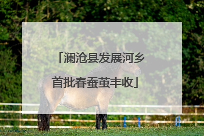 澜沧县发展河乡首批春蚕茧丰收