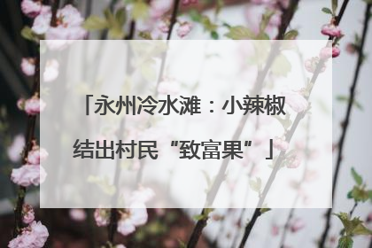 永州冷水滩：小辣椒结出村民“致富果”