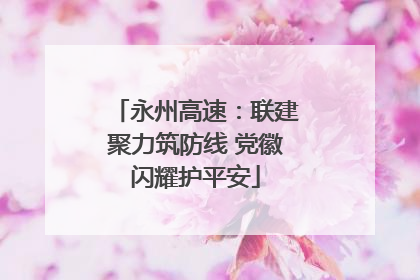 永州高速：联建聚力筑防线 党徽闪耀护平安