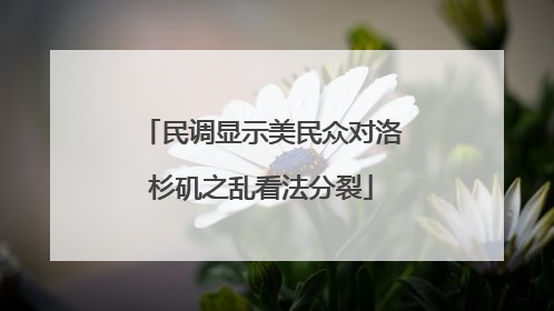 民调显示美民众对洛杉矶之乱看法分裂