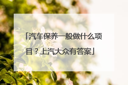 汽车保养一般做什么项目？上汽大众有答案