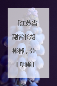 江苏省副省长胡彬郴，分工明确