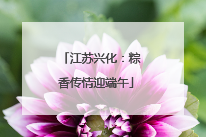 江苏兴化：粽香传情迎端午