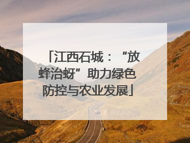 江西石城：“放蜂治蚜”助力绿色防控与农业发展