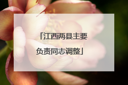 江西两县主要负责同志调整