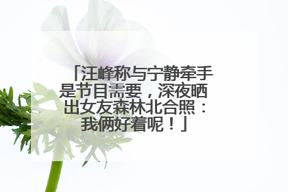 汪峰称与宁静牵手是节目需要，深夜晒出女友森林北合照：我俩好着呢！