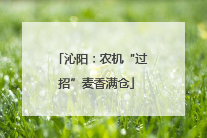 沁阳：农机“过招”麦香满仓