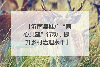 沂南县推广“同心共建”行动，提升乡村治理水平