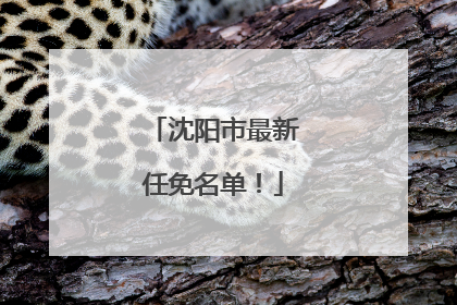 沈阳市最新任免名单！