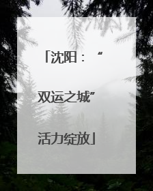 沈阳：“双运之城”活力绽放
