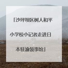 沙坪坝区树人和平小学校小记者走进日本驻渝领事馆