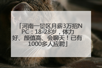 河南一景区月薪3万招NPC：18-28岁，体力好、颜值高、会聊天！已有1000多人应聘