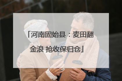 河南固始县：麦田翻金浪 抢收保归仓