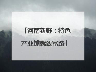 河南新野：特色产业铺就致富路
