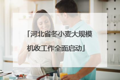 河北省冬小麦大规模机收工作全面启动