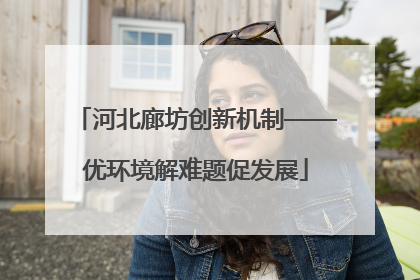河北廊坊创新机制——优环境解难题促发展