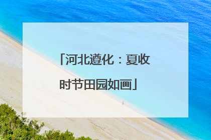 河北遵化：夏收时节田园如画