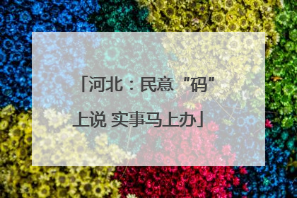 河北：民意“码”上说 实事马上办