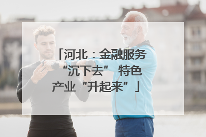 河北：金融服务“沉下去” 特色产业“升起来”