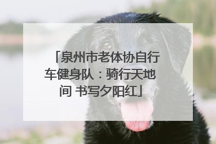 泉州市老体协自行车健身队：骑行天地间 书写夕阳红