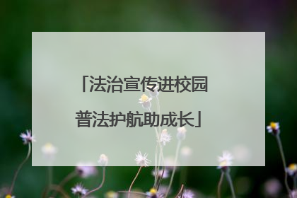 法治宣传进校园 普法护航助成长