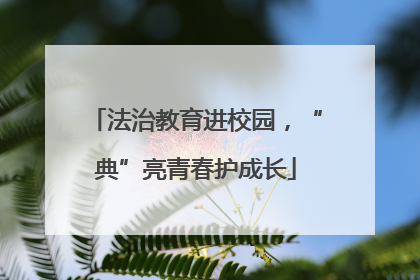 法治教育进校园，“典”亮青春护成长