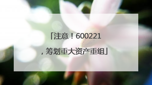 注意！600221，筹划重大资产重组
