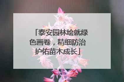 泰安园林绘就绿色画卷，精细防治护佑苗木成长