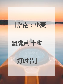 洛南：小麦覆陇黄 丰收好时节
