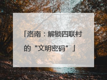 洛南：解锁四联村的“文明密码”