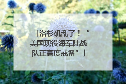 洛杉矶乱了！“美国现役海军陆战队正高度戒备”