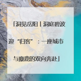 洞见岳阳丨洞庭碧波迎“归客”：一座城市与麋鹿的双向奔赴