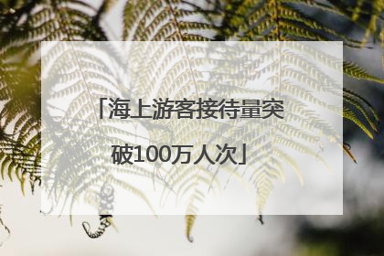 海上游客接待量突破100万人次