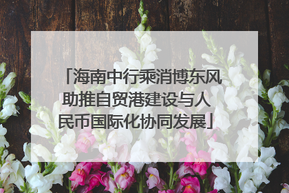 海南中行乘消博东风 助推自贸港建设与人民币国际化协同发展