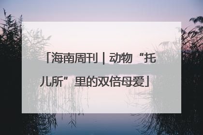 海南周刊｜动物“托儿所”里的双倍母爱